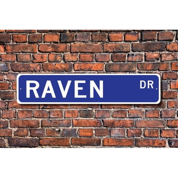 Raven Raven Gift Raven Sign Raven decor Raven lover No Hemisphere native black bird bird lover Custom Street Metal Aluminum Sign - Size: 16 x 4 Inches