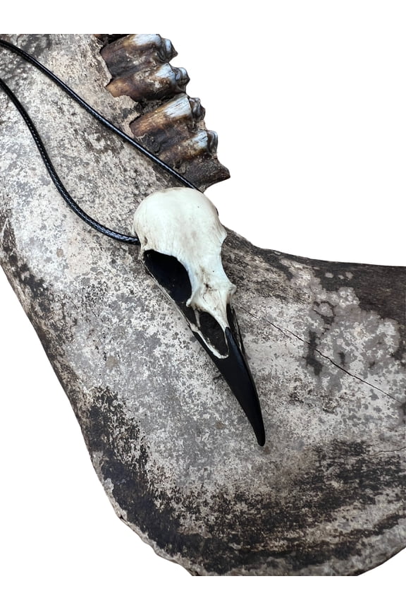 Raven Skull Necklace Resin Bone Jewelry, Bird Skull, Gothic Jewelry, Goth Gift, Oddities Curiosities, Witchy, Viking Pendant, 2.75" Size