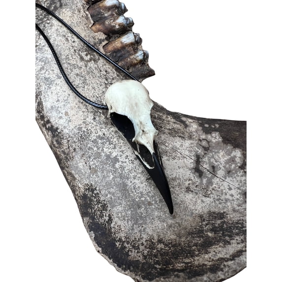 Raven Skull Necklace Resin Bone Jewelry, Bird Skull, Gothic Jewelry, Goth Gift, Oddities Curiosities, Witchy, Viking Pendant, 2.75" Size
