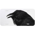 thumbnail image 1 of Raven TAG02 Novelty Car Auto License Plate, 1 of 2