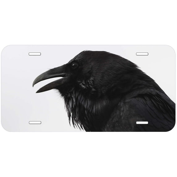 Raven TAG02 Novelty Car Auto License Plate