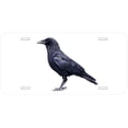 thumbnail image 1 of Raven TAG05 Novelty Car Auto License Plate, 1 of 2