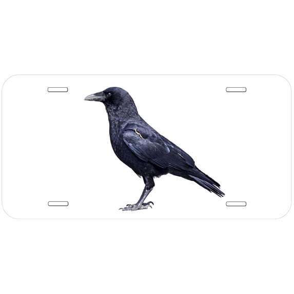 Raven TAG05 Novelty Car Auto License Plate