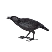 Nifao Raven Watching Forward Bronze Statue Lifesize - 22"L x 5"W x 7"H