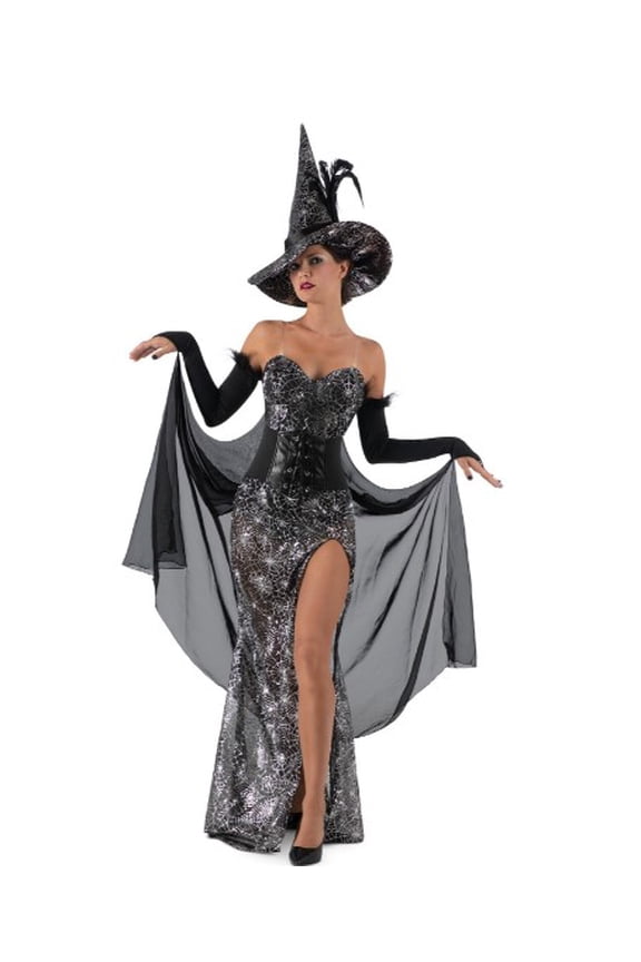 Raven Witch - Black & Silver - Spider Webs - Deluxe Costume - Adult - Small