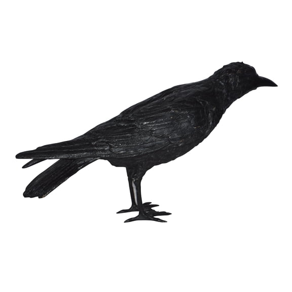 Nifao Raven with his head up Bronze Statue, Home Decor Sculpture, 23"L x 6"W x 13"H