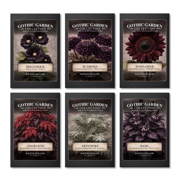 Ravens Hollow Garden Gothic Garden Seed Collection, 6 Open-Pollinated Flower & Foliage Varieties