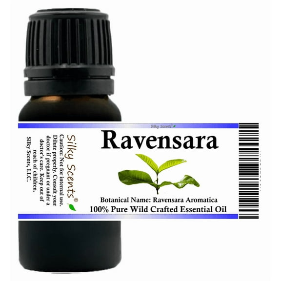 Ravensara Wild Crafted Essential Oil 10 ml (1/3 fl oz) - 100% Pure and Natural by Silky Scents