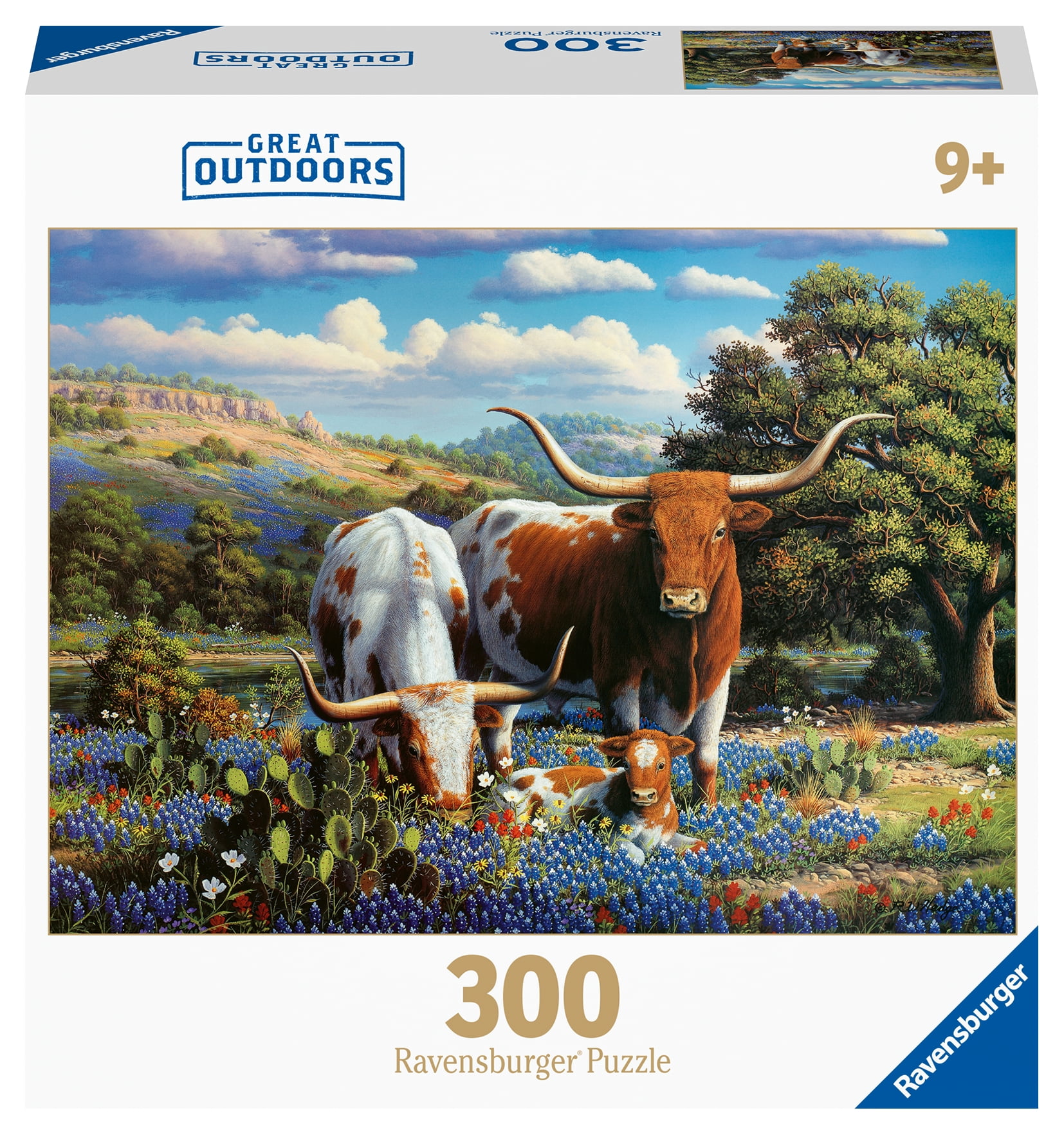 Ravensburger Puzzle „Floral Rainbow“ – 300 Teile, Großformatig, 49x36 Cm, Für Erwachsene & Kinder