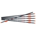 thumbnail image 1 of Ravin R18 Crossbow Bolts - .003 - 350 Grain - 6 Pack, 1 of 1