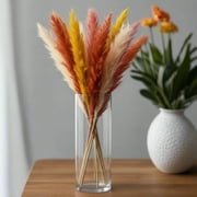 Ravion Clear Glass Cylinder Vase, Tall Round Flower Vase for Floral Arrangements