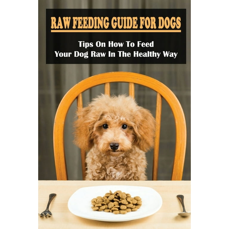 Thinking about feeding your dog raw food? Think again - CNET