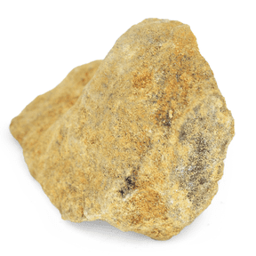Raw Dolostone, Sedimentary Rocks - Approx. 1" - Geologist Selected & Hand Processed - Great for Science Classrooms - Eisco Labs