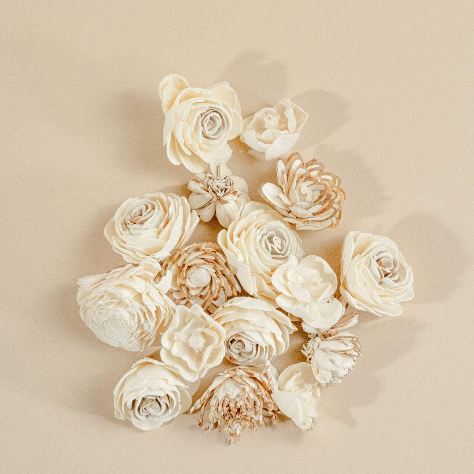 Raw Sola Wood Flower Assortment -Underwood Assortment (50 Flowers