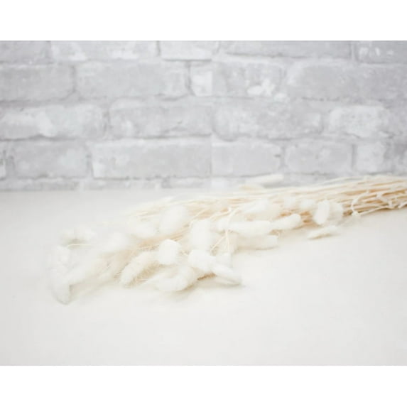 Raw Sola Wood Flowers - Centerpiece/Vase/Pot/Bouquet Fillers - -Bunny Tails (Bleached)