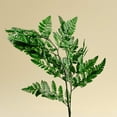 thumbnail image 1 of Raw Sola Wood Flowers - Centerpiece/Vase/Pot/Bouquet Fillers - -Leather Leaf Green, 1 of 6