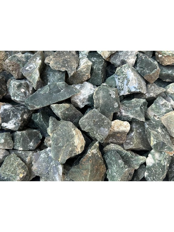 Raw Tree Agate, Natural Tree Agate, Natural Rough Tree Agate, Tree Agate Healing Crystal (Tree Agate, 0.25 Pound)