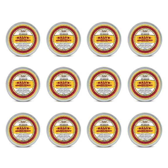 Rawleigh Antiseptic (Original) Salve Small Tin: 0.96 oz / 27g - Pack of 12