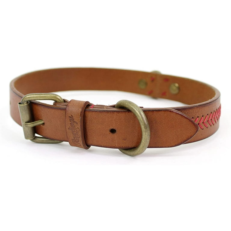 Rawlings dog collar online