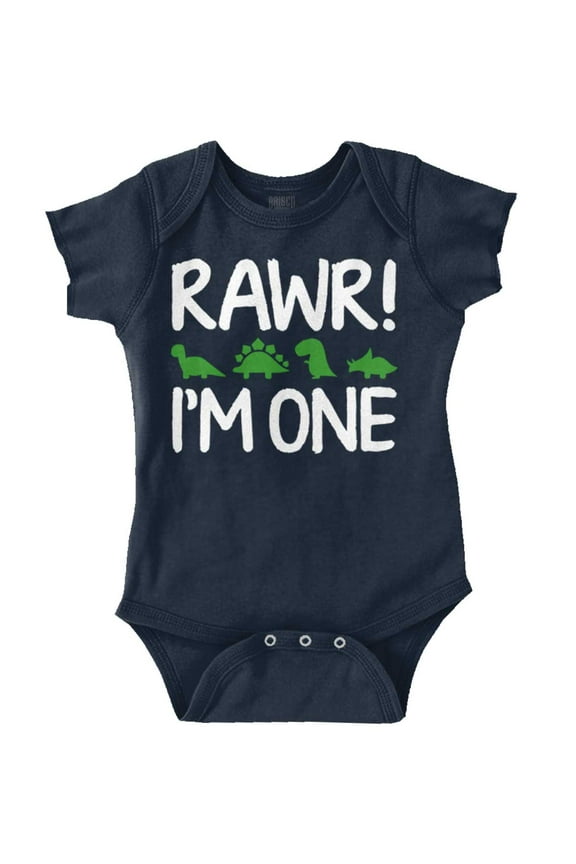 Rawr I'm One Little Dinosaur Birthday Romper Boys or Girls Infant Baby Brisco Brands 24M