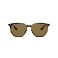 thumbnail image 1 of Ray-Ban Unisex Size 54 Geometric Havana Sunglasses, Dark Brown Lens, 1 of 7