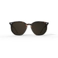 thumbnail image 1 of Ray-Ban 0RB4306 Havana, 1 of 6