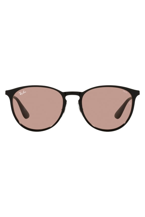 RB3539 Erika Metal Round Sunglasses, Black/Evolve Photochromic Brown to Dark Brown, 54 mm