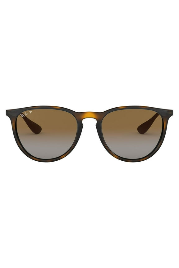 RB4171 Erika Sunglasses