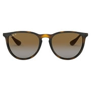 Ray-Ban RB4171 Erika Sunglasses
