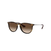 Ray Ban Erika Classic Sunglasses RB4171 F-865/13 54-18