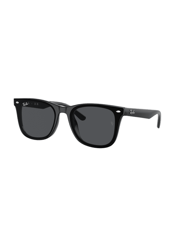 RB4420 RB4420 Square Shape Sunglasses Polished Black Frame | Dark Grey Lens 65mm