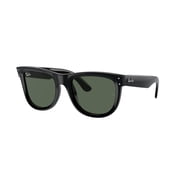 Ray Ban Wayfarer Polarized Sunglasses