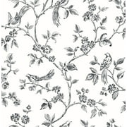 Ray Black Bird Trail Wallpaper