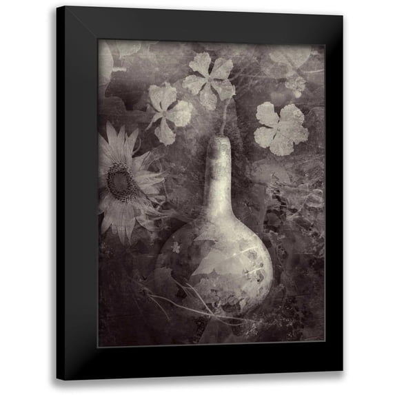 Ray, Elena 12x14 Black Modern Framed Museum Art Print Titled - Gourd II