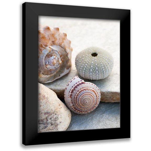 Ray, Elena 12x14 Black Modern Framed Museum Art Print Titled - Shell Portrait VII