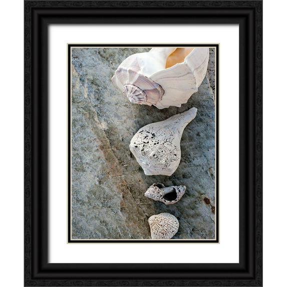 Ray, Elena 12x14 Black Ornate Wood Framed with Double Matting Museum Art Print Titled - Gifts of the Shore IX
