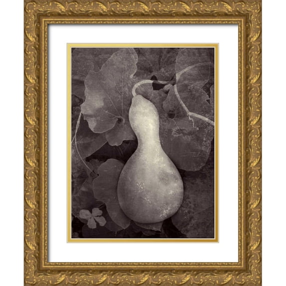 Ray, Elena 19x24 Gold Ornate Wood Framed with Double Matting Museum Art Print Titled - Gourd V