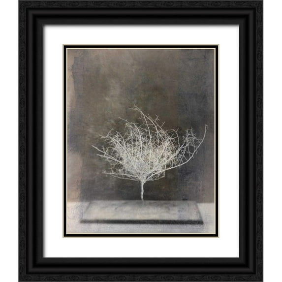 Ray, Elena 20x24 Black Ornate Wood Framed with Double Matting Museum Art Print Titled - Desert Form VI