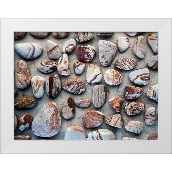 Ray, Elena 32x25 White Modern Wood Framed Museum Art Print Titled - Gifts of the Earth I