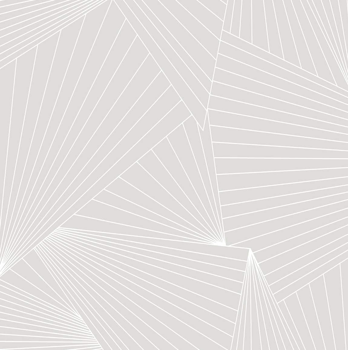 Ray Geo Peel and Stick Wallpaper (Granite Dust)