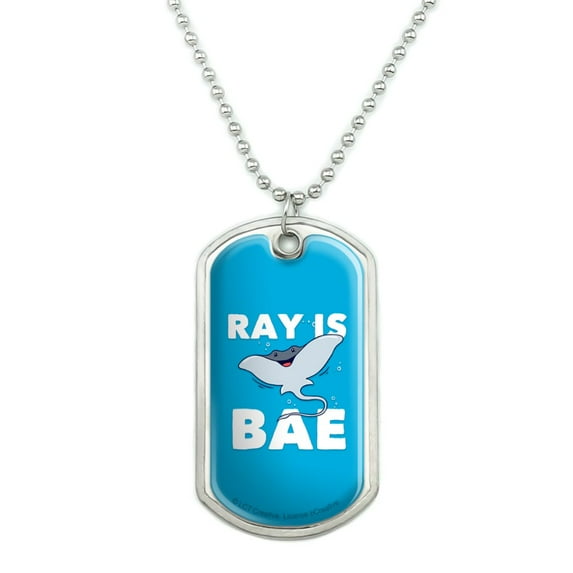 Ray is Bae Funny Humor Military Dog Tag Pendant Necklace with Chain
