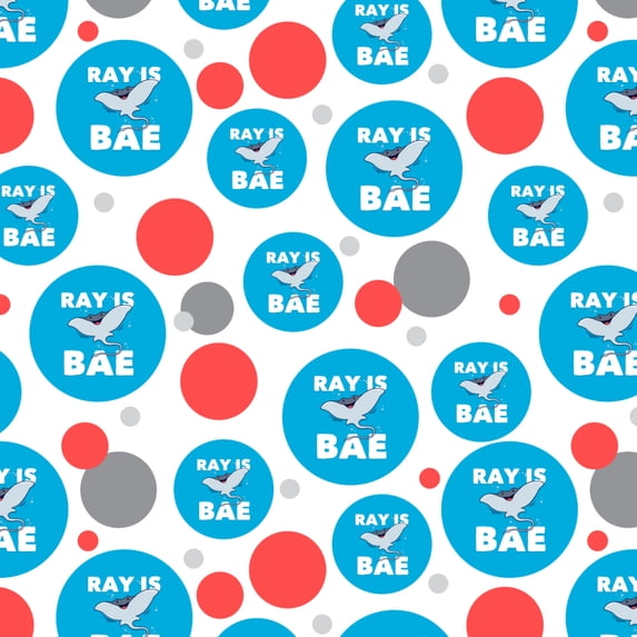 Ray is Bae Funny Humor Premium Gift Wrap Wrapping Paper Roll
