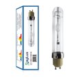 thumbnail image 1 of RayLux 315W CMH Grow Bulb Ceramic Metal Halide 3000k Grow Lamps for Indoor Plant Grow Light Bulbs, 1 of 5