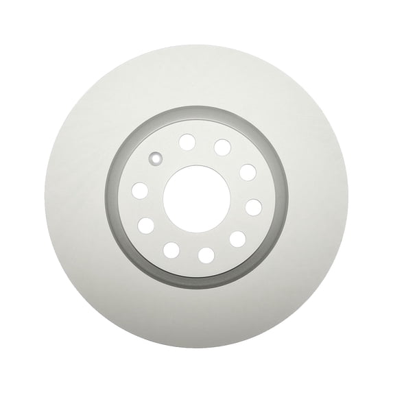 Raybestos 980383FZN Rust Prevention Technology Coated Rotor Brake Rotor, 1 Pack Fits select: 2012-2021 VOLKSWAGEN PASSAT, 2010-2012 VOLKSWAGEN JETTA