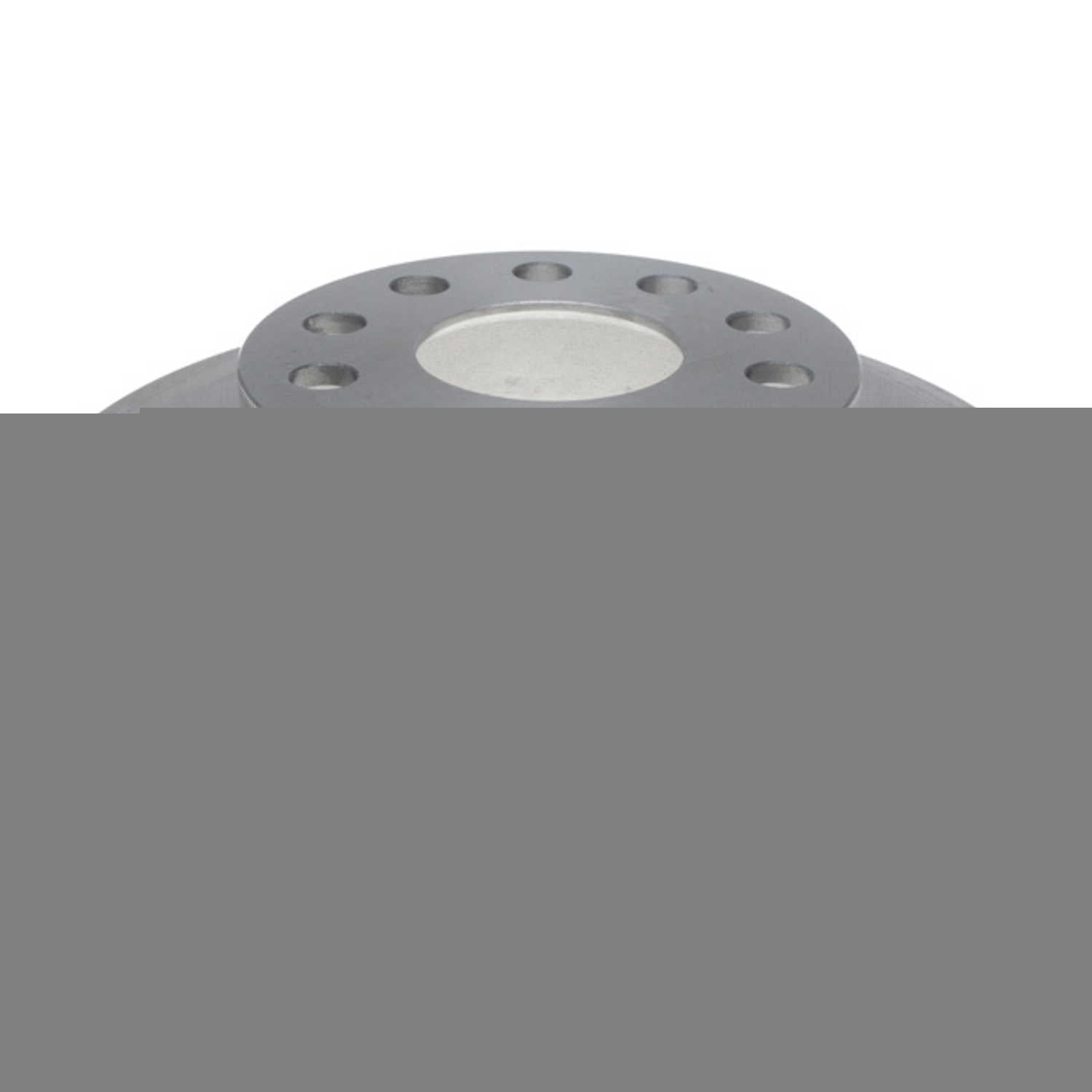Raybestos 980423R Professional Grade Disc Brake Rotor Fits select: 2005-2007,2009 VOLKSWAGEN JETTA