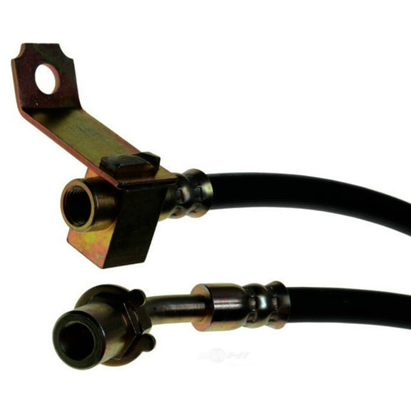 Raybestos BH380773 Professional Grade Hydraulic Brake Hose Fits select: 1998-2004 DODGE DAKOTA, 1998-1999 DODGE DURANGO