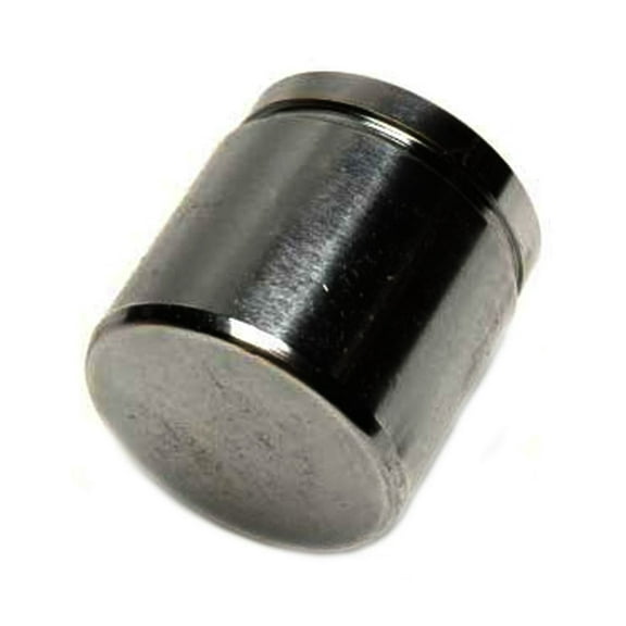 Raybestos DPS85075 Professional Grade Disc Brake Caliper Piston Fits select: 2010-2017 TOYOTA 4RUNNER, 2002-2009 CHEVROLET TRAILBLAZER