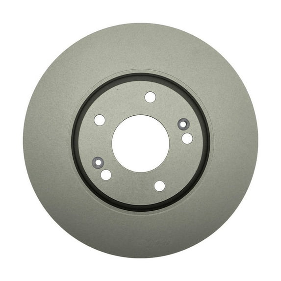 Raybestos R-300 : Front Brake Rotors, Rust Prevention, Improved Pedal Feel