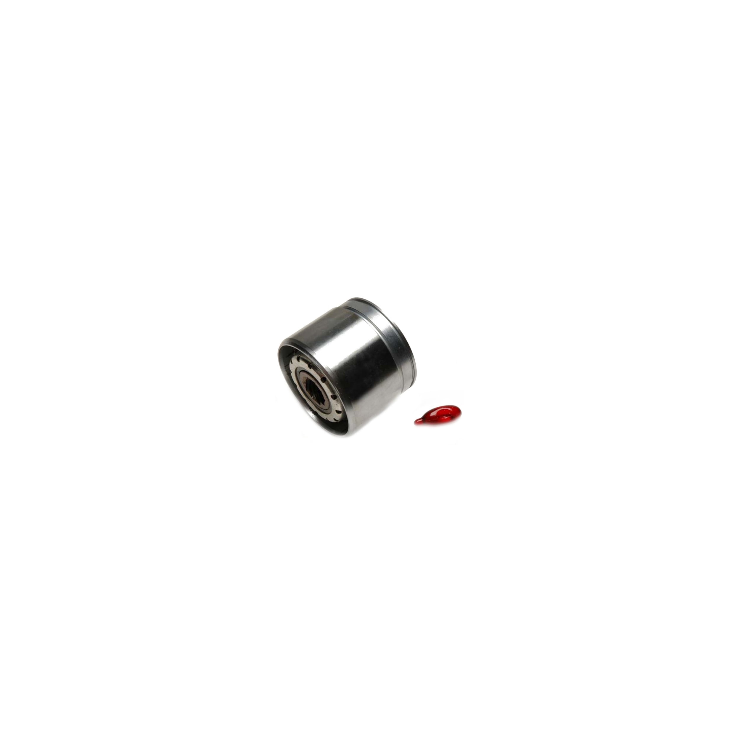 Raybestos R-Line Disc Brake Caliper Pistons Fits select: 1979 BUICK LESABRE, 1979 CADILLAC SEVILLE