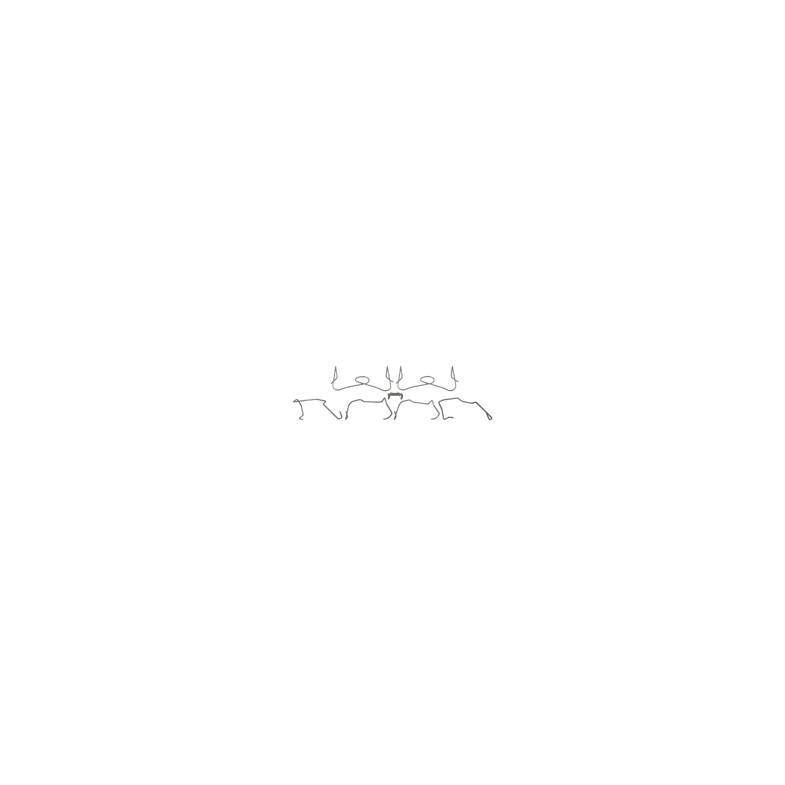 Raybestos R-Line Disc Brake Hardware Kit, H18202A